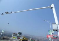 周振宇：努力打造全省領(lǐng)先、國內(nèi)一流的新型智慧城市示范城市